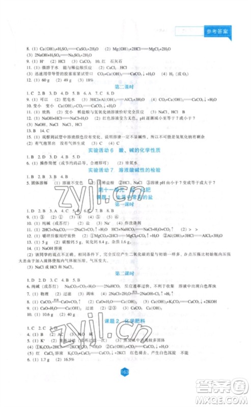 辽海出版社2023新课程化学能力培养九年级下册人教版D版大连专用参考答案