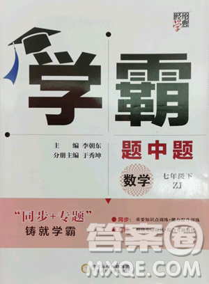 甘肃少年儿童出版社2023经纶学典学霸题中题七年级下册数学浙教版参考答案