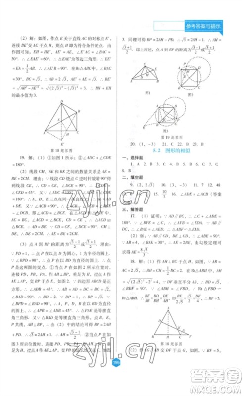 辽海出版社2023新课程数学能力培养九年级下册人教版D版大连专用参考答案 辽海出版社2023新课程数学能力培养九年级下册人教版D版大连专用参考答案