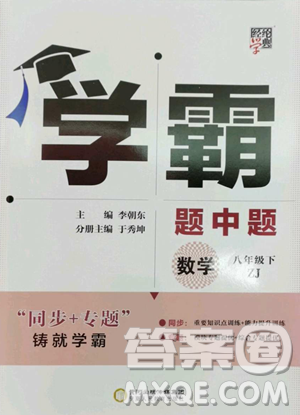 甘肃少年儿童出版社2023经纶学典学霸题中题八年级下册数学浙教版参考答案