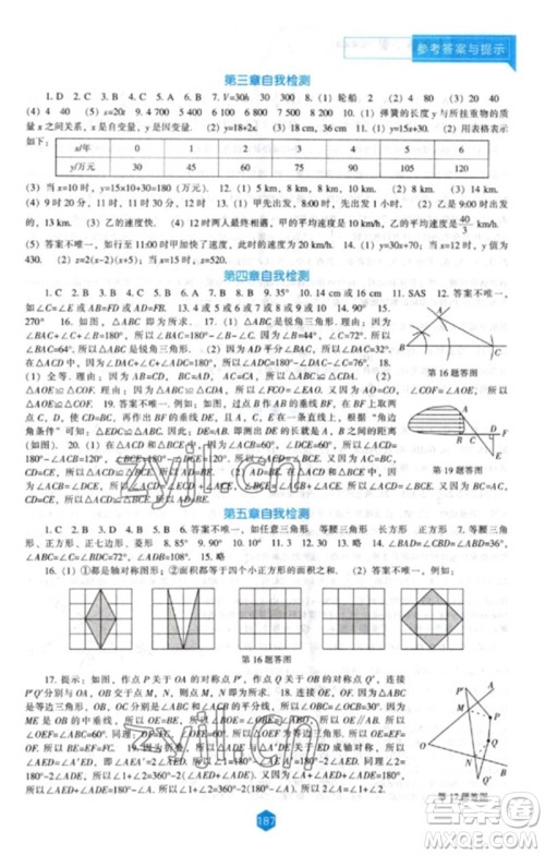 辽海出版社2023新课程数学能力培养七年级下册北师大版参考答案