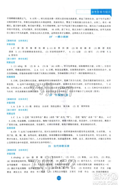 辽海出版社2023新课程语文能力培养七年级下册人教版参考答案