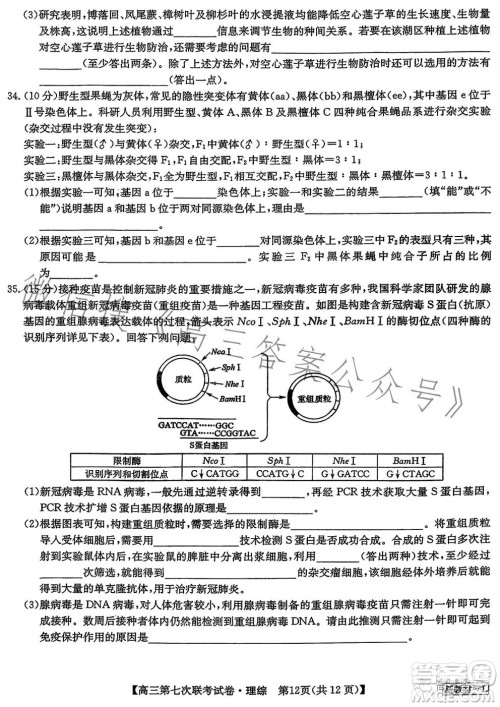 2023届高三第七次百校大联考试卷新教材L理科综合答案