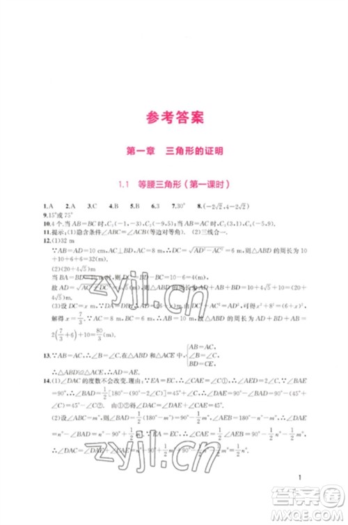四川教育出版社2023新课程实践与探究丛书八年级数学下册北师大版参考答案 四川教育出版社2023新课程实践与探究丛书八年级数学下册北师大版参考答案