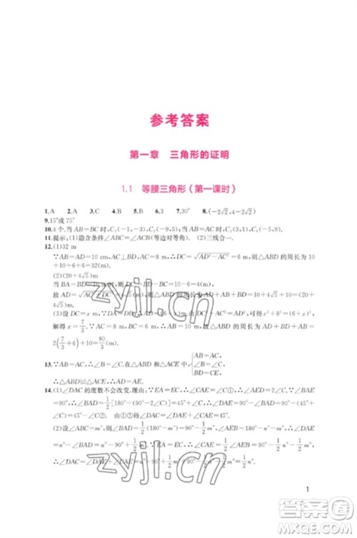 四川教育出版社2023新课程实践与探究丛书八年级数学下册北师大版参考答案