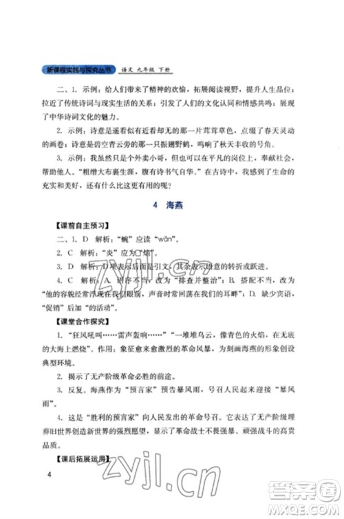 四川教育出版社2023新课程实践与探究丛书九年级语文下册人教版参考答案