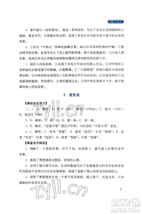 四川教育出版社2023新课程实践与探究丛书九年级语文下册人教版参考答案