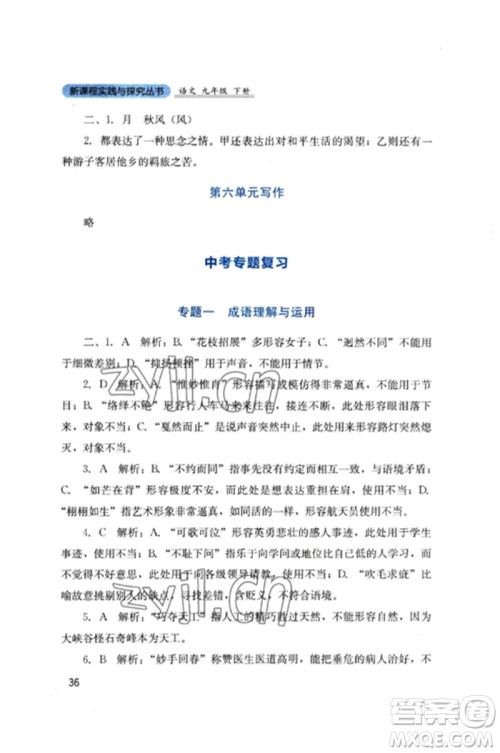 四川教育出版社2023新课程实践与探究丛书九年级语文下册人教版参考答案