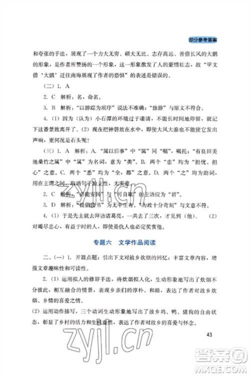 四川教育出版社2023新课程实践与探究丛书九年级语文下册人教版参考答案