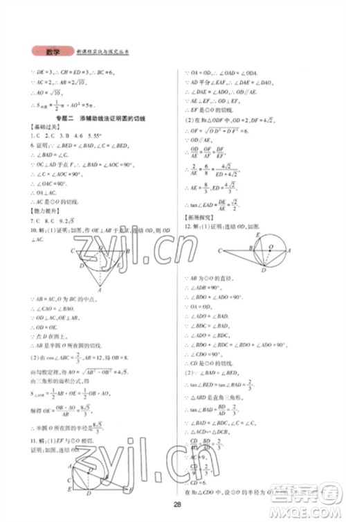 四川教育出版社2023新课程实践与探究丛书九年级数学下册华东师大版参考答案