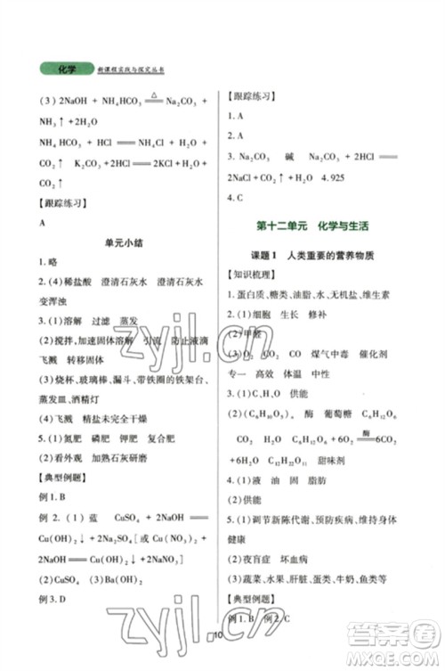 四川教育出版社2023新课程实践与探究丛书九年级化学下册人教版参考答案