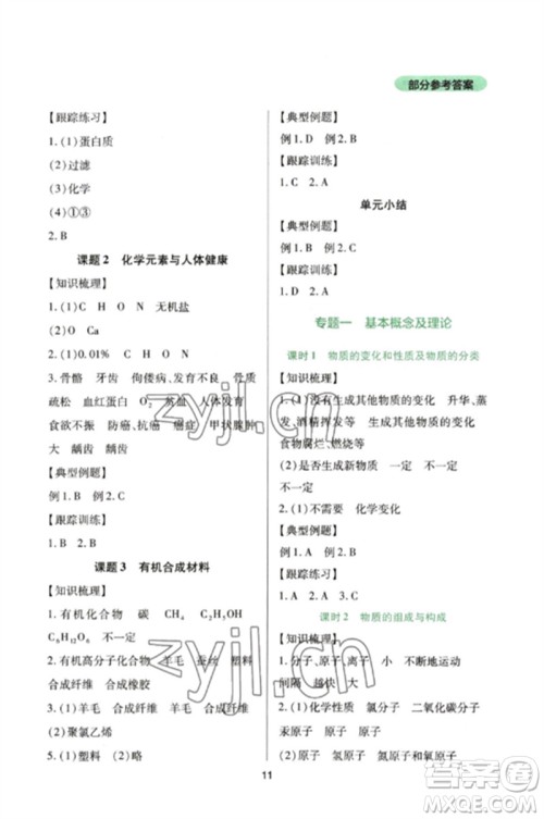 四川教育出版社2023新课程实践与探究丛书九年级化学下册人教版参考答案