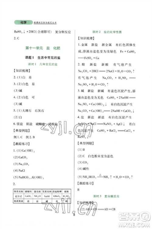 四川教育出版社2023新课程实践与探究丛书九年级化学下册人教版参考答案