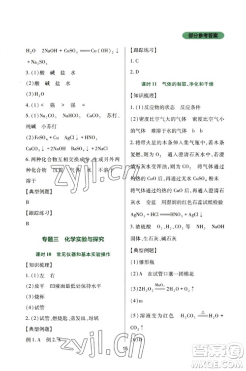 四川教育出版社2023新课程实践与探究丛书九年级化学下册人教版参考答案