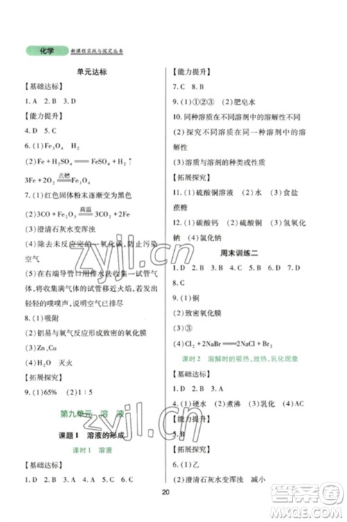 四川教育出版社2023新课程实践与探究丛书九年级化学下册人教版参考答案