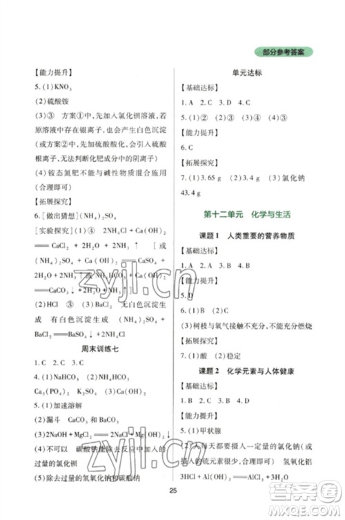 四川教育出版社2023新课程实践与探究丛书九年级化学下册人教版参考答案