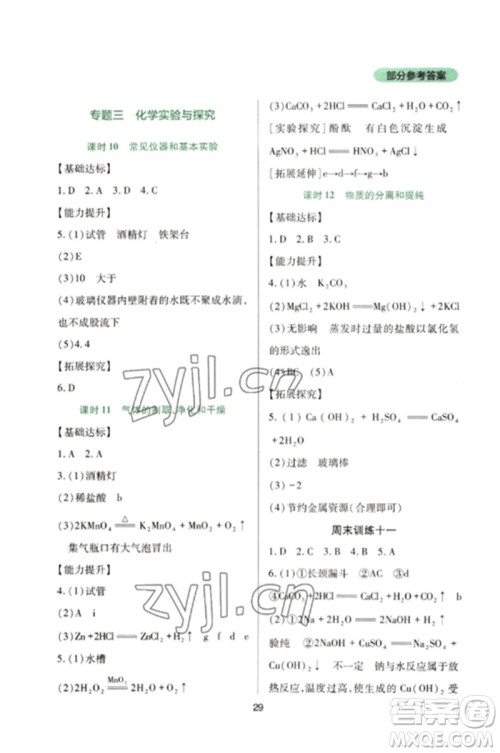 四川教育出版社2023新课程实践与探究丛书九年级化学下册人教版参考答案