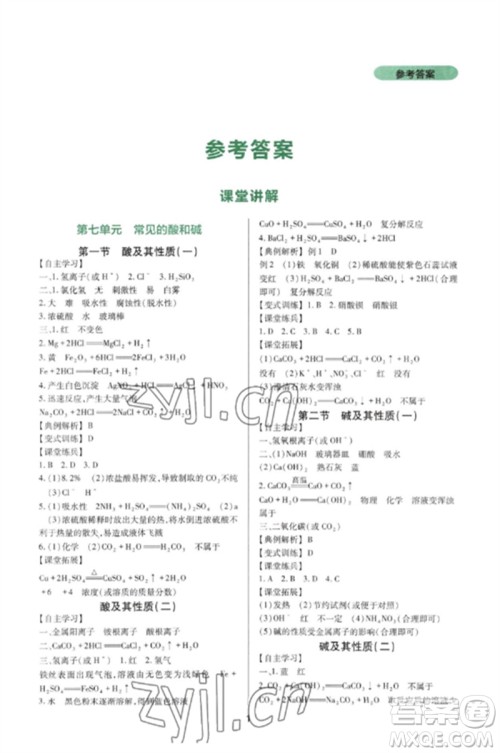 四川教育出版社2023新课程实践与探究丛书九年级化学下册鲁教版参考答案 四川教育出版社2023新课程实践与探究丛书九年级化学下册鲁教版参考答案