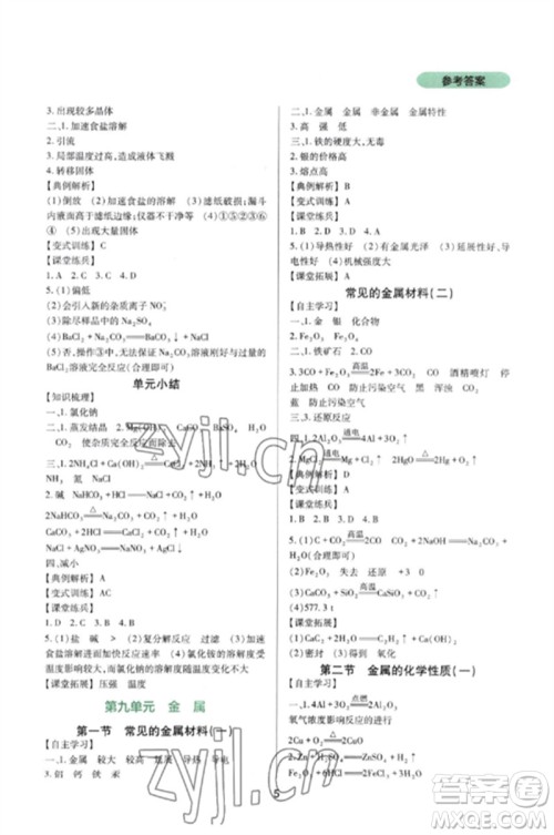 四川教育出版社2023新课程实践与探究丛书九年级化学下册鲁教版参考答案