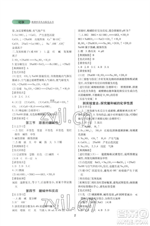 四川教育出版社2023新课程实践与探究丛书九年级化学下册鲁教版参考答案