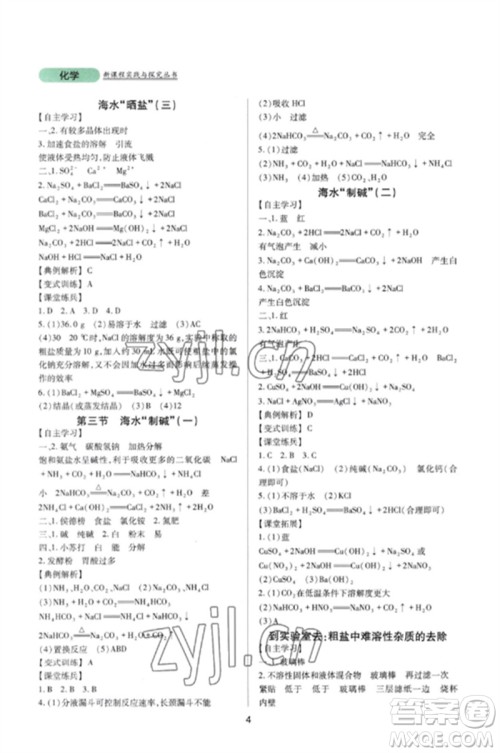 四川教育出版社2023新课程实践与探究丛书九年级化学下册鲁教版参考答案