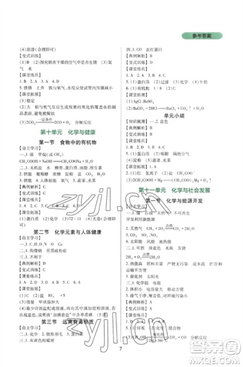 四川教育出版社2023新课程实践与探究丛书九年级化学下册鲁教版参考答案