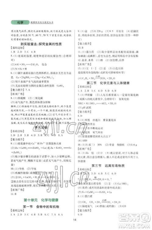 四川教育出版社2023新课程实践与探究丛书九年级化学下册鲁教版参考答案 四川教育出版社2023新课程实践与探究丛书九年级化学下册鲁教版参考答案