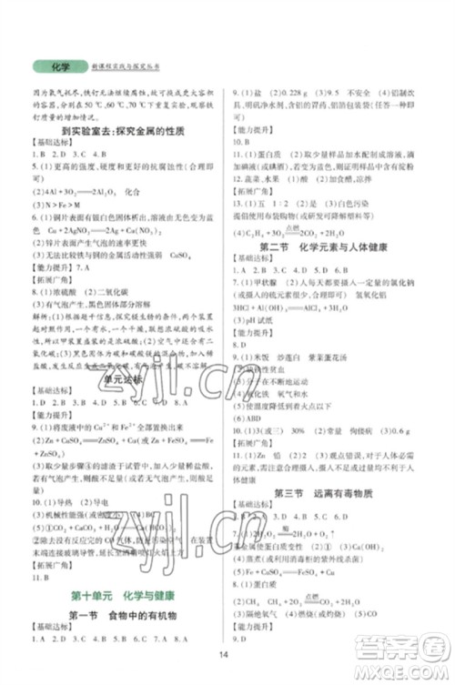 四川教育出版社2023新课程实践与探究丛书九年级化学下册鲁教版参考答案