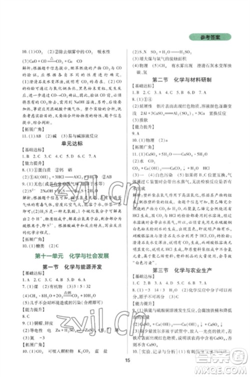 四川教育出版社2023新课程实践与探究丛书九年级化学下册鲁教版参考答案