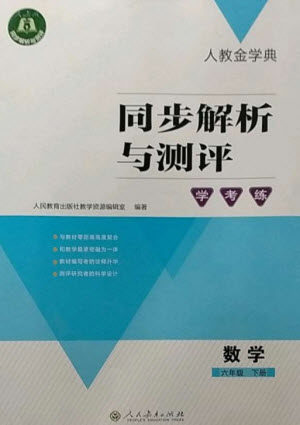 人民教育出版社2023人教金学典同步解析与测评学考练六年级数学下册人教版参考答案