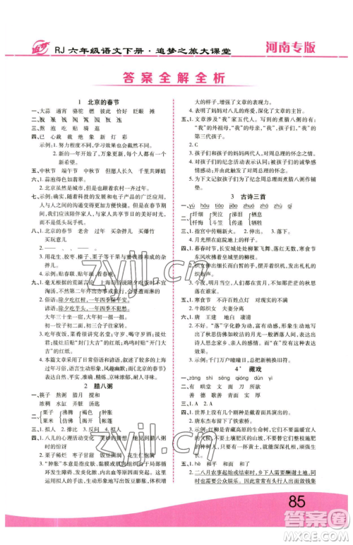 天津科学技术出版社2023追梦之旅大课堂六年级下册语文人教版河南专版参考答案