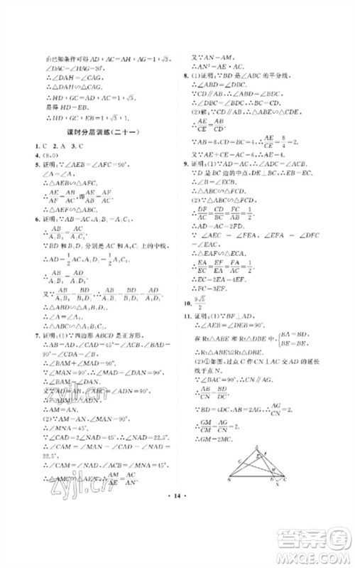 山东教育出版社2023初中同步练习册分层卷八年级数学下册鲁教版五四制参考答案