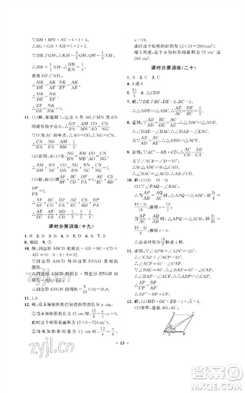 山东教育出版社2023初中同步练习册分层卷八年级数学下册鲁教版五四制参考答案 山东教育出版社2023初中同步练习册分层卷八年级数学下册鲁教版五四制参考答案
