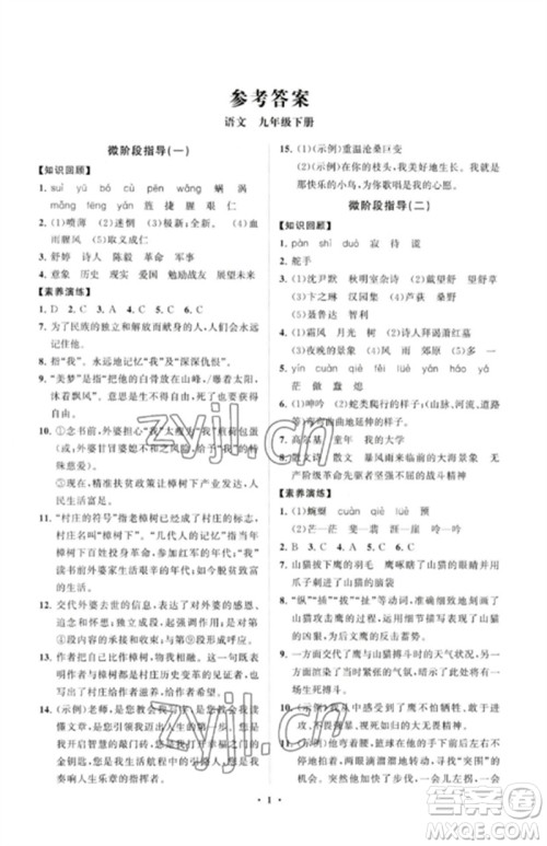 山东教育出版社2023初中同步练习册分层卷九年级语文下册人教版参考答案 山东教育出版社2023初中同步练习册分层卷九年级语文下册人教版参考答案