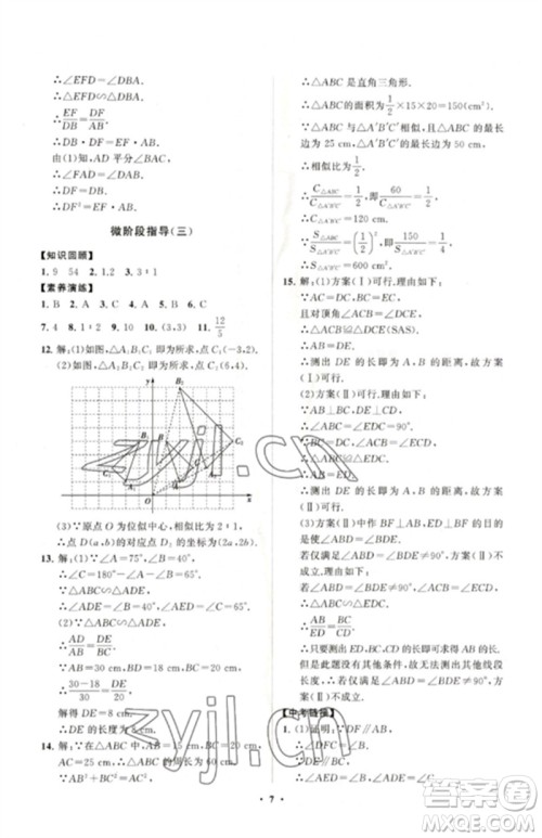 山东教育出版社2023初中同步练习册分层卷九年级数学下册人教版参考答案