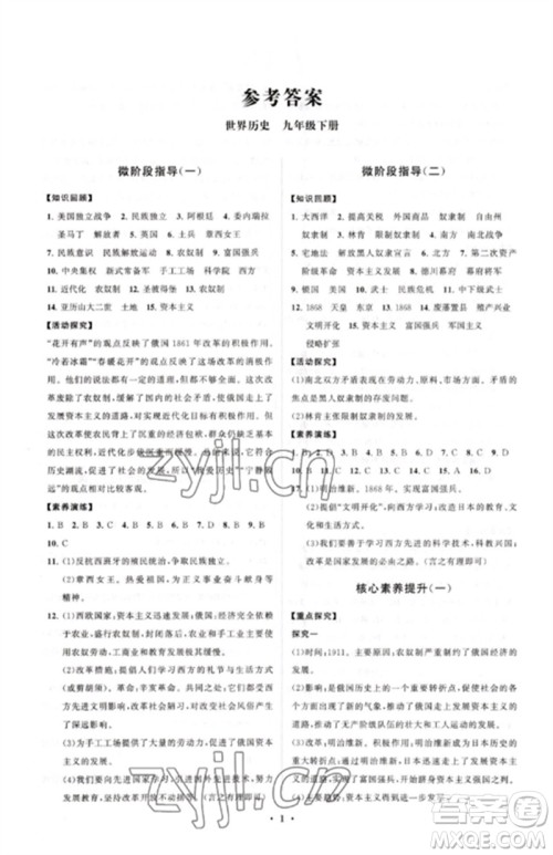 山东教育出版社2023初中同步练习册分层卷九年级世界历史下册人教版参考答案 山东教育出版社2023初中同步练习册分层卷九年级世界历史下册人教版参考答案