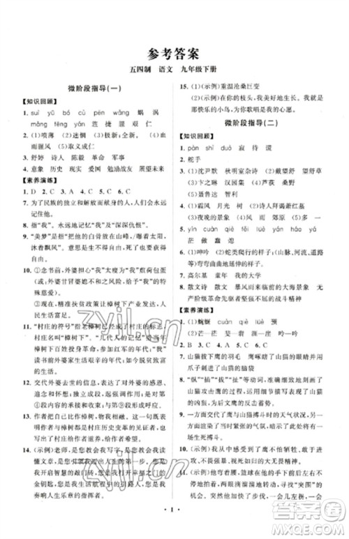 山东教育出版社2023初中同步练习册分层卷九年级语文下册人教版五四制参考答案