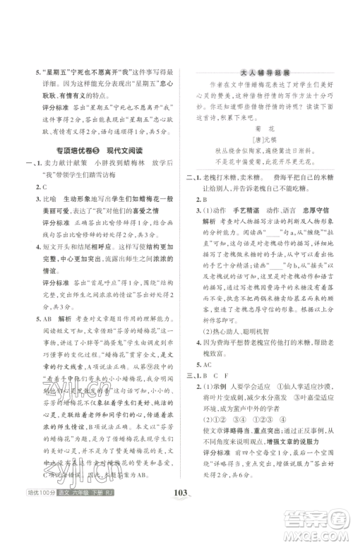 江西人民出版社2023王朝霞培优100分六年级下册语文人教版参考答案