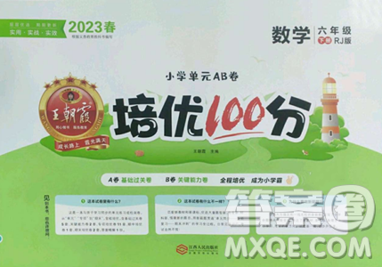 江西人民出版社2023王朝霞培优100分六年级下册数学人教版参考答案