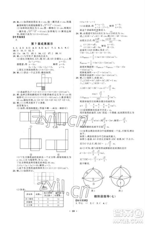 山东教育出版社2023初中同步练习册分层卷九年级数学下册青岛版参考答案