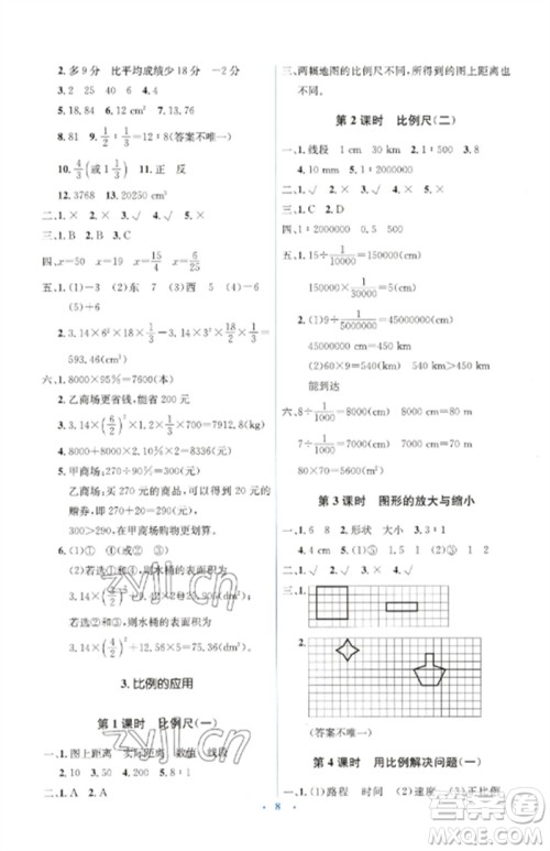 人民教育出版社2023人教金学典同步解析与测评学考练六年级数学下册人教版参考答案