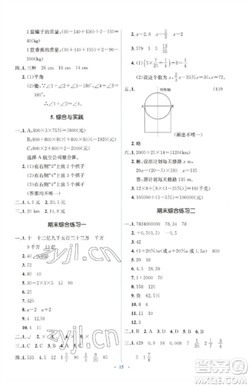 人民教育出版社2023人教金学典同步解析与测评学考练六年级数学下册人教版参考答案