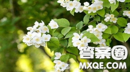 生活中有的门紧紧关闭材料作文800字 关于生活中有的门紧紧关闭的材料作文800字