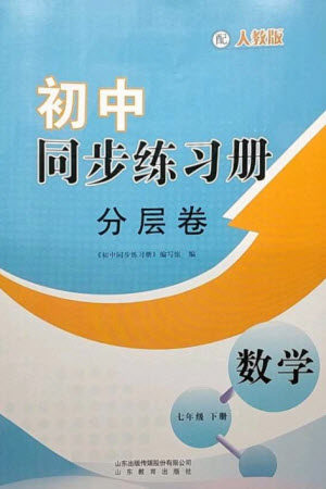 山东教育出版社2023初中同步练习册分层卷七年级数学下册人教版参考答案