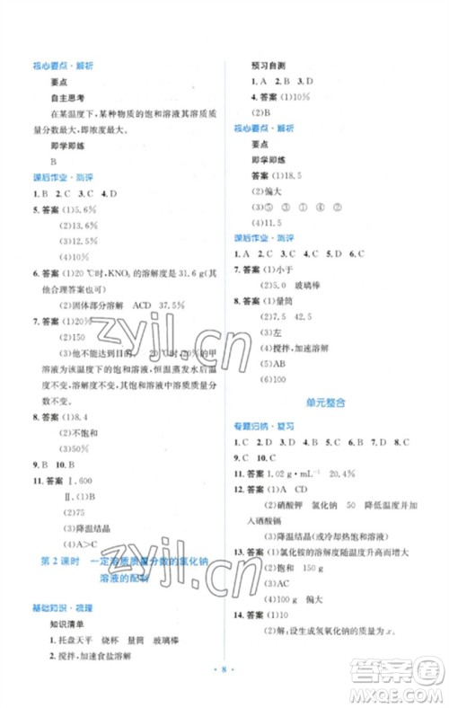 人民教育出版社2023人教金学典同步解析与测评学考练九年级化学下册人教版参考答案