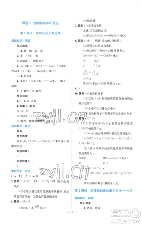 人民教育出版社2023人教金学典同步解析与测评学考练九年级化学下册人教版参考答案