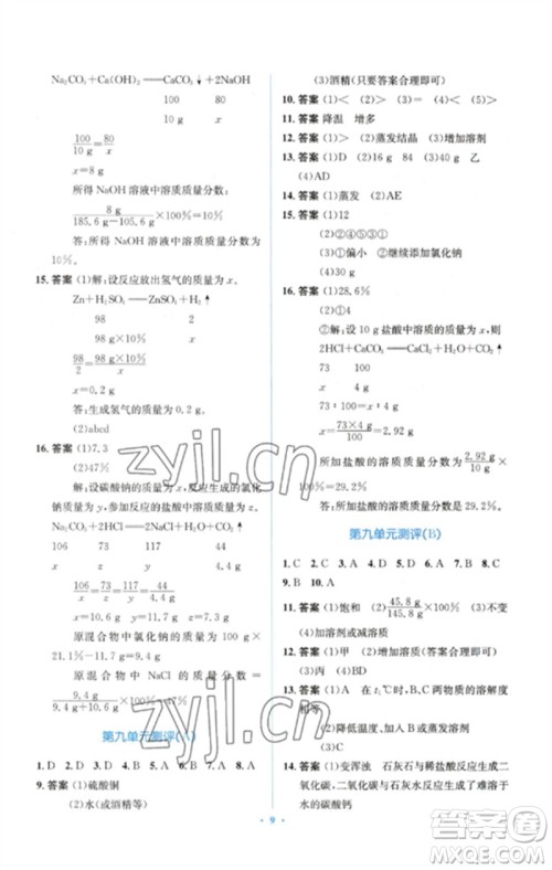 人民教育出版社2023人教金学典同步解析与测评学考练九年级化学下册人教版参考答案