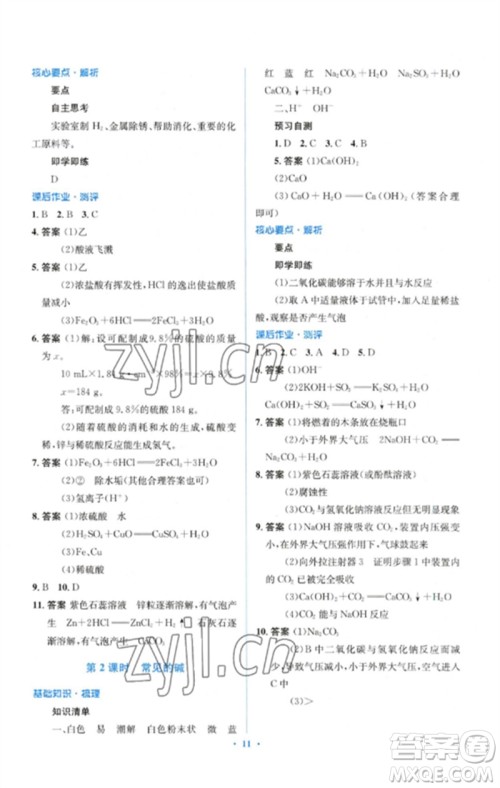 人民教育出版社2023人教金学典同步解析与测评学考练九年级化学下册人教版参考答案