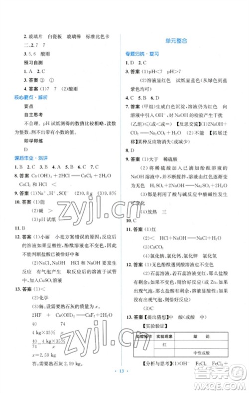 人民教育出版社2023人教金学典同步解析与测评学考练九年级化学下册人教版参考答案