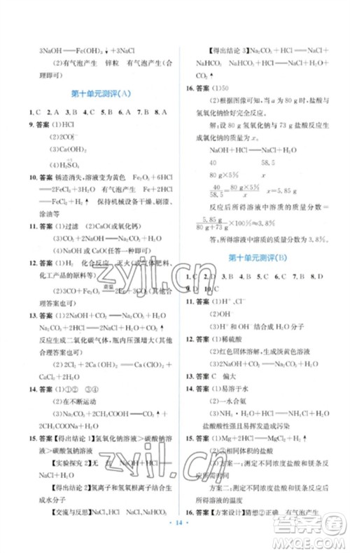 人民教育出版社2023人教金学典同步解析与测评学考练九年级化学下册人教版参考答案